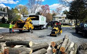 Lawn Watering Services in Bardonia, NY