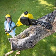 Best Pest Control for Lawns  in Bardonia, NY