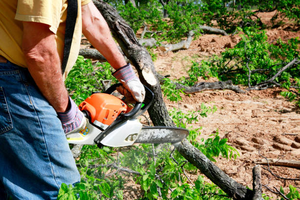 Best Aeration Services  in Bardonia, NY